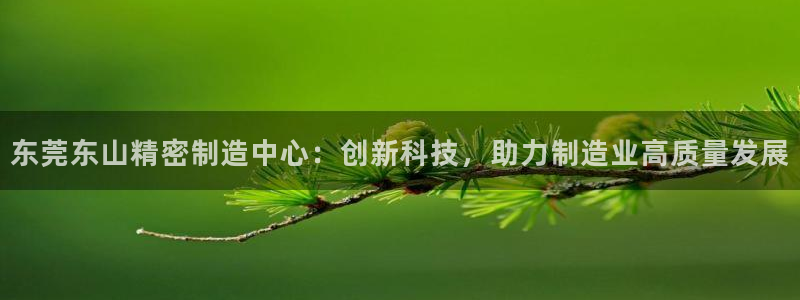 彩神争霸官方下载2017：东莞东山精密制造中心：创新科技，助力制造业高质量发展