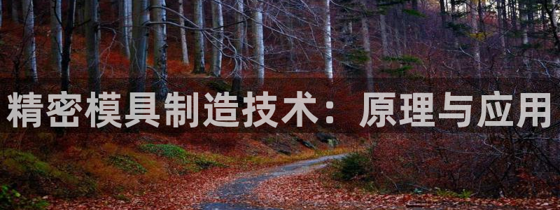彩神赢钱了吗是真的吗：精密模具制造技术：原理与应用