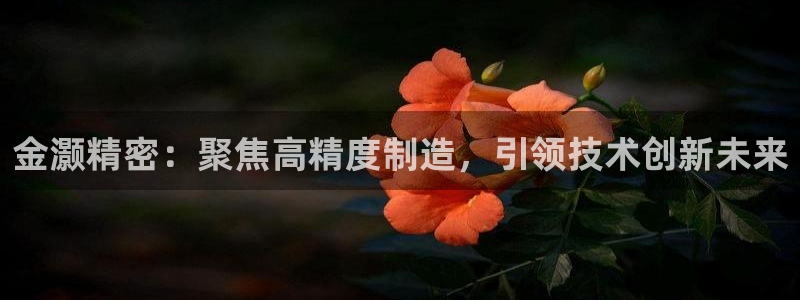 彩神8官网合法吗：金灏精密：聚焦高精度制造，引领技术创新未来