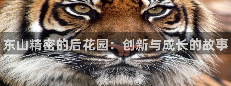 彩神v8平台正规吗：东山精密的后花园：创新与成长的故事