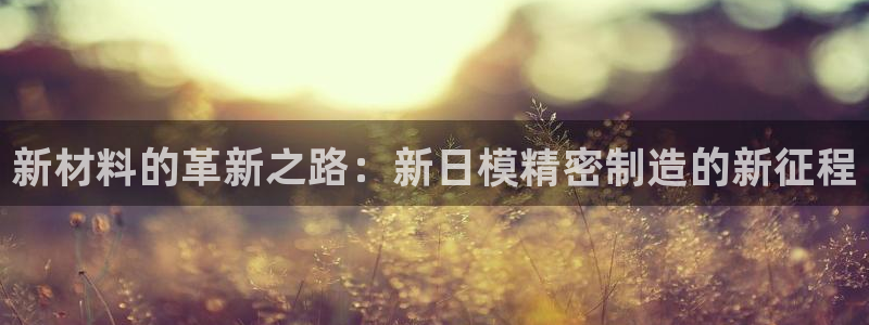 大发彩神官网下载：新材料的革新之路：新日模精密制造的新征程