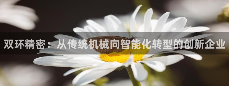 彩神争霸官方下载：双环精密：从传统机械向智能化转型的创新企业