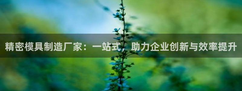 彩神网官网登录：精密模具制造厂家：一站式，助力企业创新与效率提升