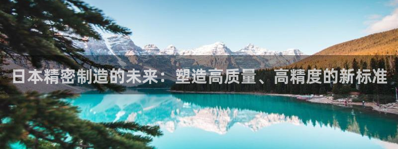 彩神vlll官网网上购彩：日本精密制造的未来：塑造高质量、高精度的新标准