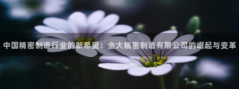 彩神Vll购彩大厅：中国精密制造行业的新希望：金大精密制造有限公司的崛起与变革