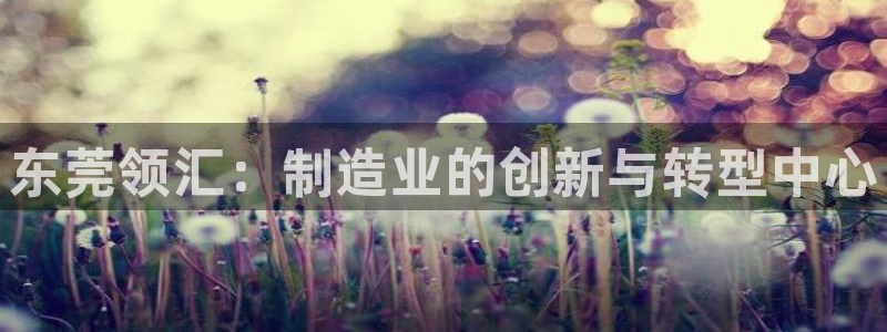 新版彩神v8登录：东莞领汇：制造业的创新与转型中心