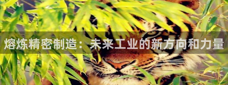 彩神网官网登录：熔炼精密制造：未来工业的新方向和力量