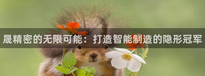 彩神大发cp：晟精密的无限可能：打造智能制造的隐形冠军