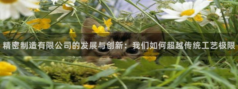 彩神旗下有哪些平台：精密制造有限公司的发展与创新：我们如何超越传统工艺极限