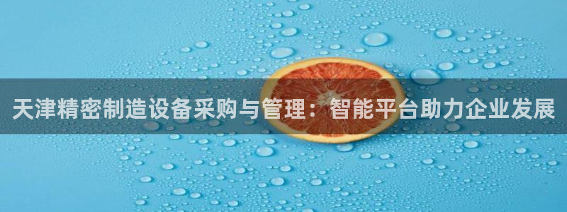 彩神大发云：天津精密制造设备采购与管理：智能平台助力企业发展