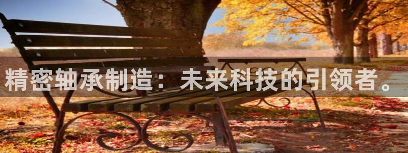 彩神官方登录：精密轴承制造：未来科技的引领者。