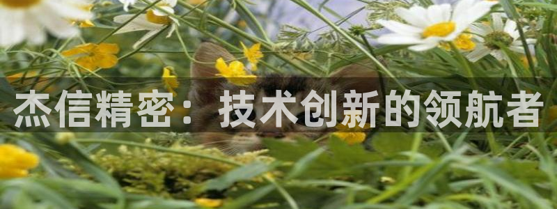 彩神网正规吗：杰信精密：技术创新的领航者