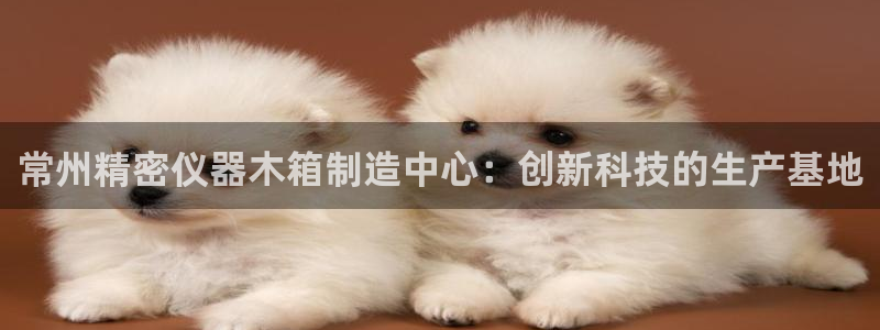 彩神8彩平台官网：常州精密仪器木箱制造中心：创新科技的生产基地