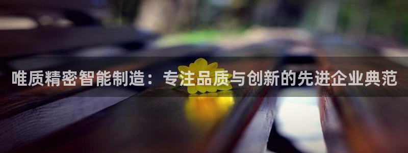 彩神是什么平台的游戏：唯质精密智能制造：专注品质与创新的先进企业典范