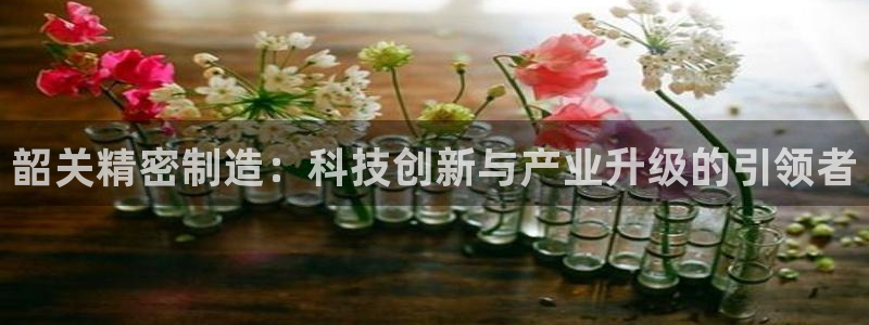 彩神争霸官网登录平台：韶关精密制造：科技创新与产业升级的引领者