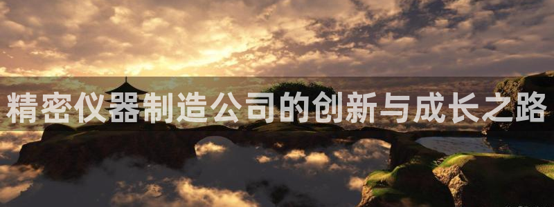 彩神大发云：精密仪器制造公司的创新与成长之路
