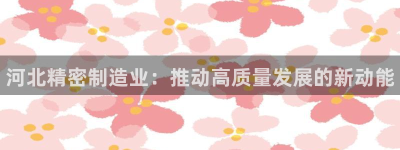 彩神8官网下：河北精