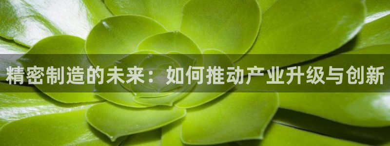 彩神vll购彩大厅大众：精密制造的未来：如何推动产业升级与创新