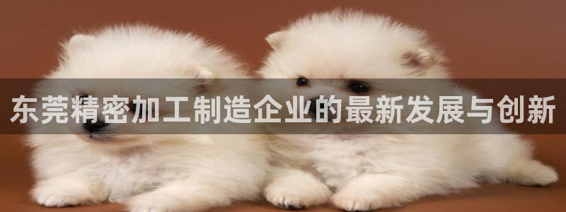 彩神viii是正规平