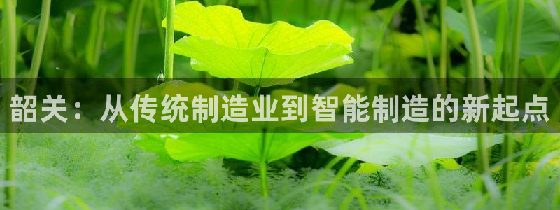 彩神V8平台：韶关：