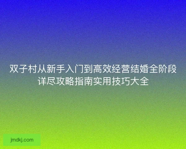 双子村从新手入门到高效经营结婚全阶段详尽攻略指南实用技巧大全